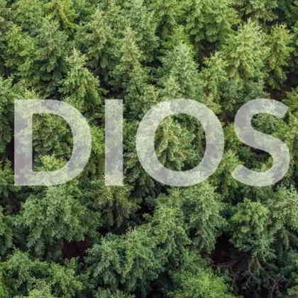 ¿Por qué Dios está tan escondido?